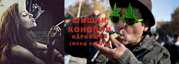 индика Баксан
