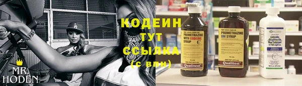 прущие крисы Балахна
