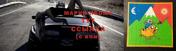 индика Баксан