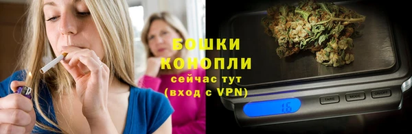 индика Баксан