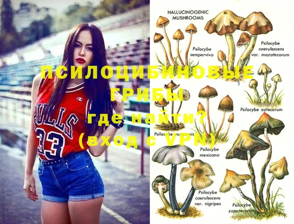 индика Баксан