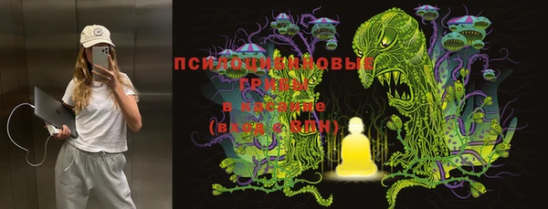 прущие крисы Балахна